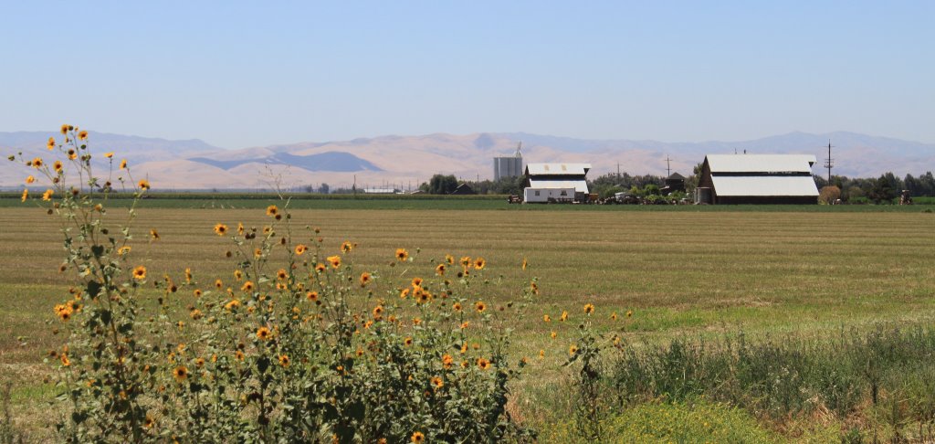 Mitigating Domestic Well Failure for SGMA and Drought in the San Joaquin Valley