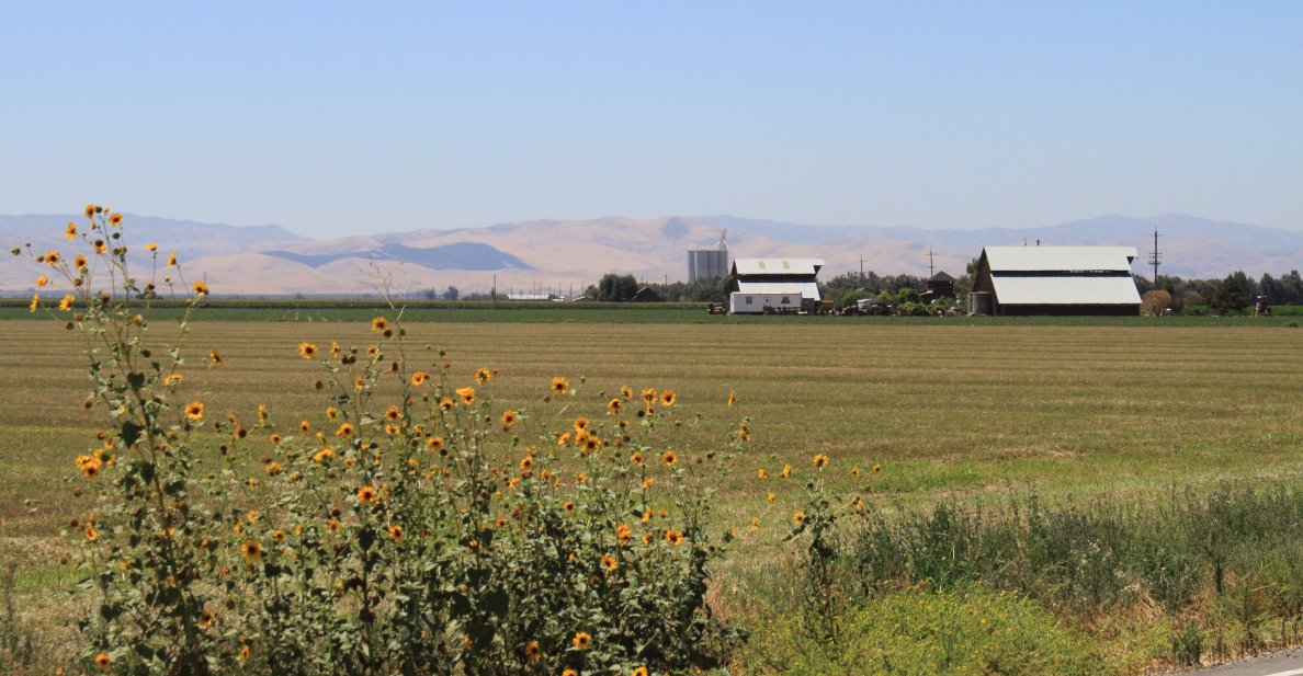 PPIC: Is SGMA Compatible with Farmland Preservation?