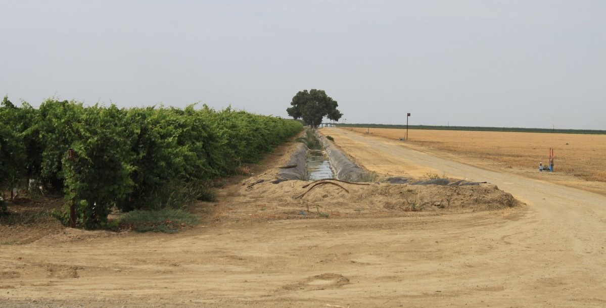 Rewilding California farms: grants going out to repurpose drought-parched Central Valley land