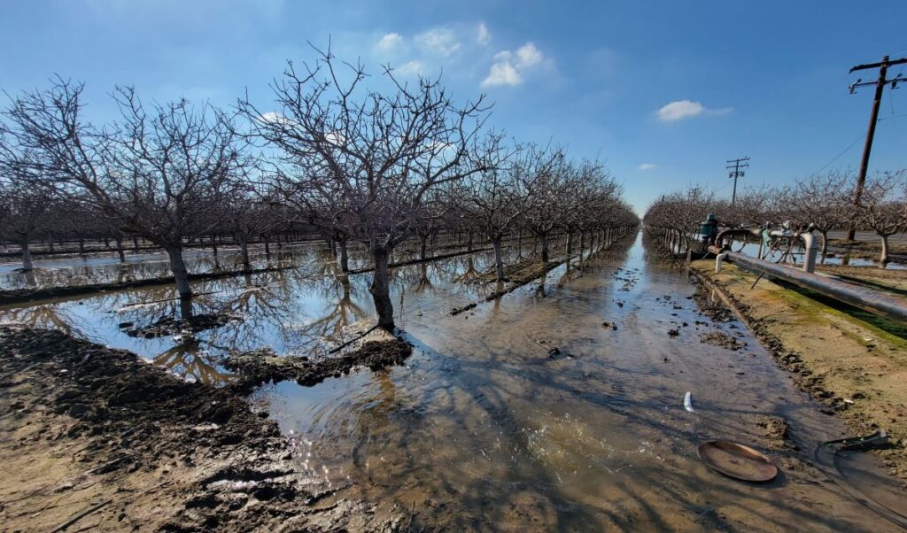Model Partnership Brings Ag Reuse and Groundwater Sustainability to the San Joaquin Valley
