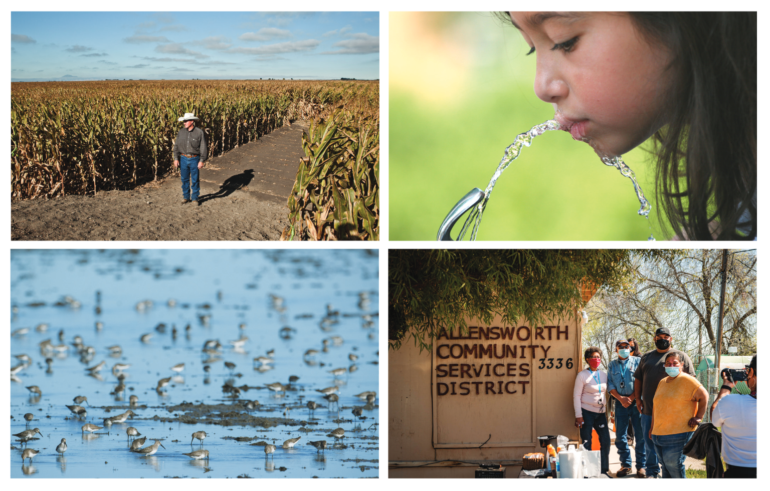 New Report Addresses Findings That Most California Groundwater Sustainability Plans Fail to Protect Vulnerable Communities and the Environment